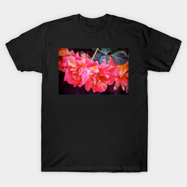 Rose 293 T-Shirt by secretgardener